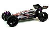 3013 Dessert Fighter Mali Racing 1:10 Brushed RTR