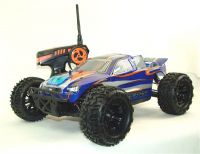 3033 Fighter Truggy Mali Racing 1:10 Brushless RTR