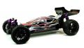 3013 Dessert Fighter Mali Racing 1:10 Brushed RTR